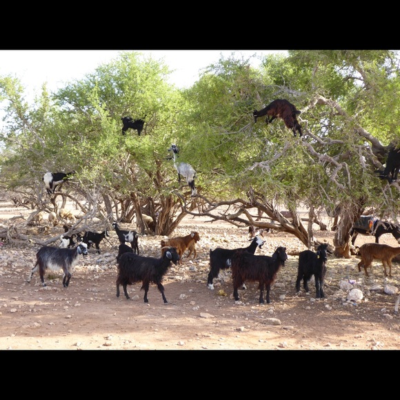 Meet your Posher, Isabel - Picture 9 of 15